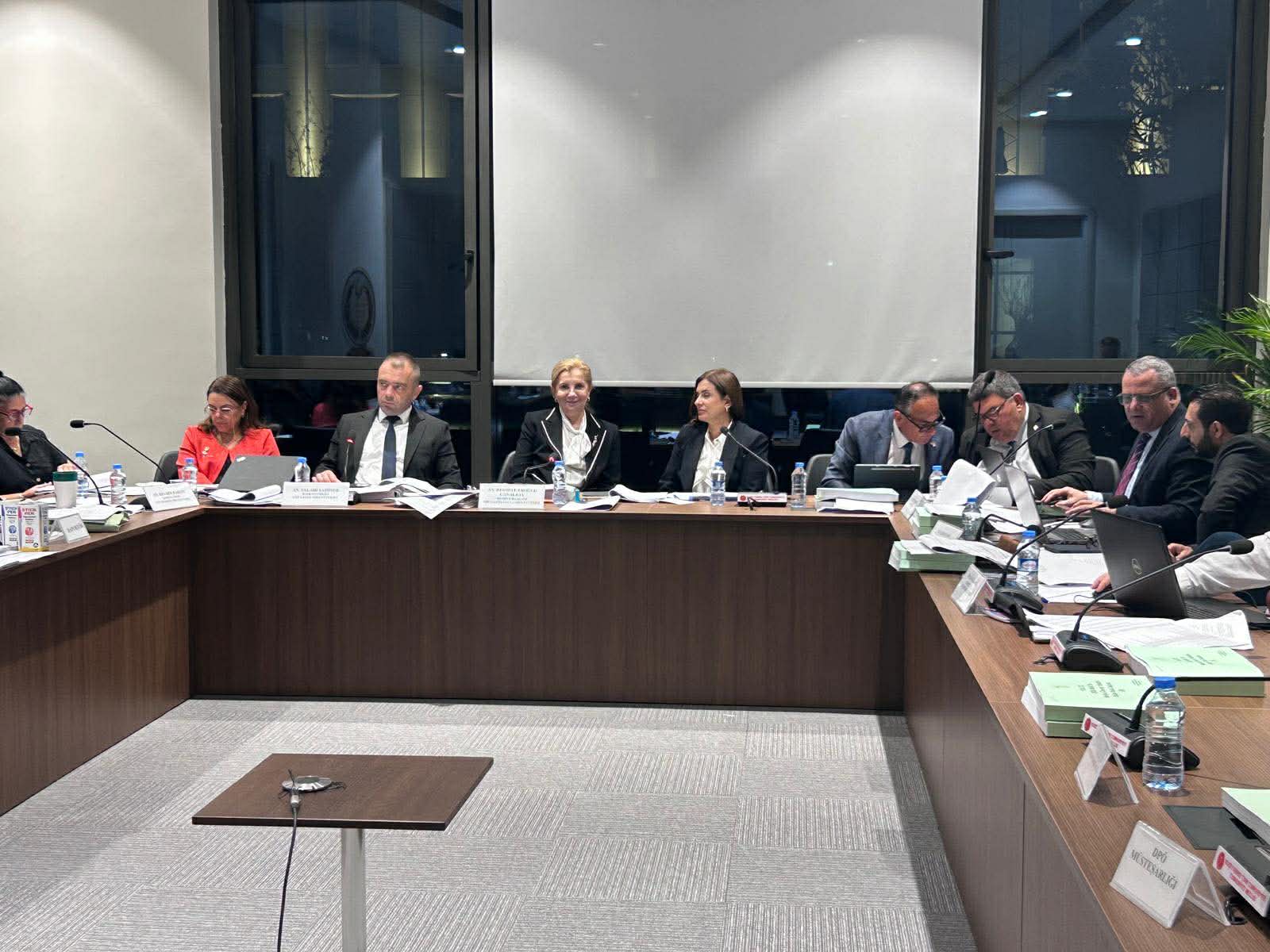 BRTK ve Kişisel Verileri Koruma Kurulu bütçeleri komiteden geçti