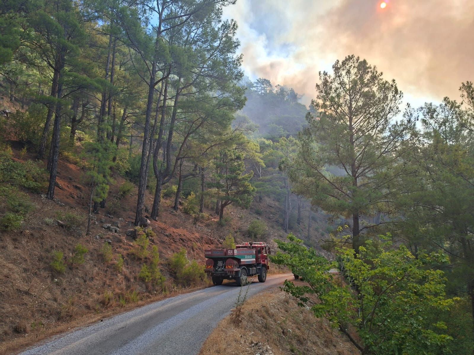 Mersin'de orman yangını
