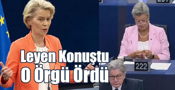Von der Leyen Konuştu, O Örgü Ördü