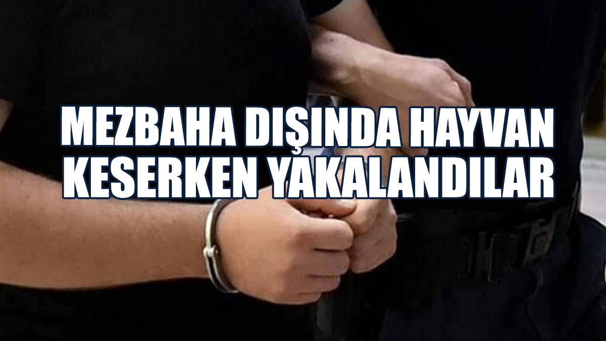 10 Adet Kuzuyu Kestikleri Sırada Suçüstü Tespit Edildiler