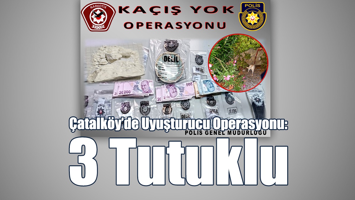 Çatalköy’de Uyuşturucu Operasyonu: 3 Tutuklu