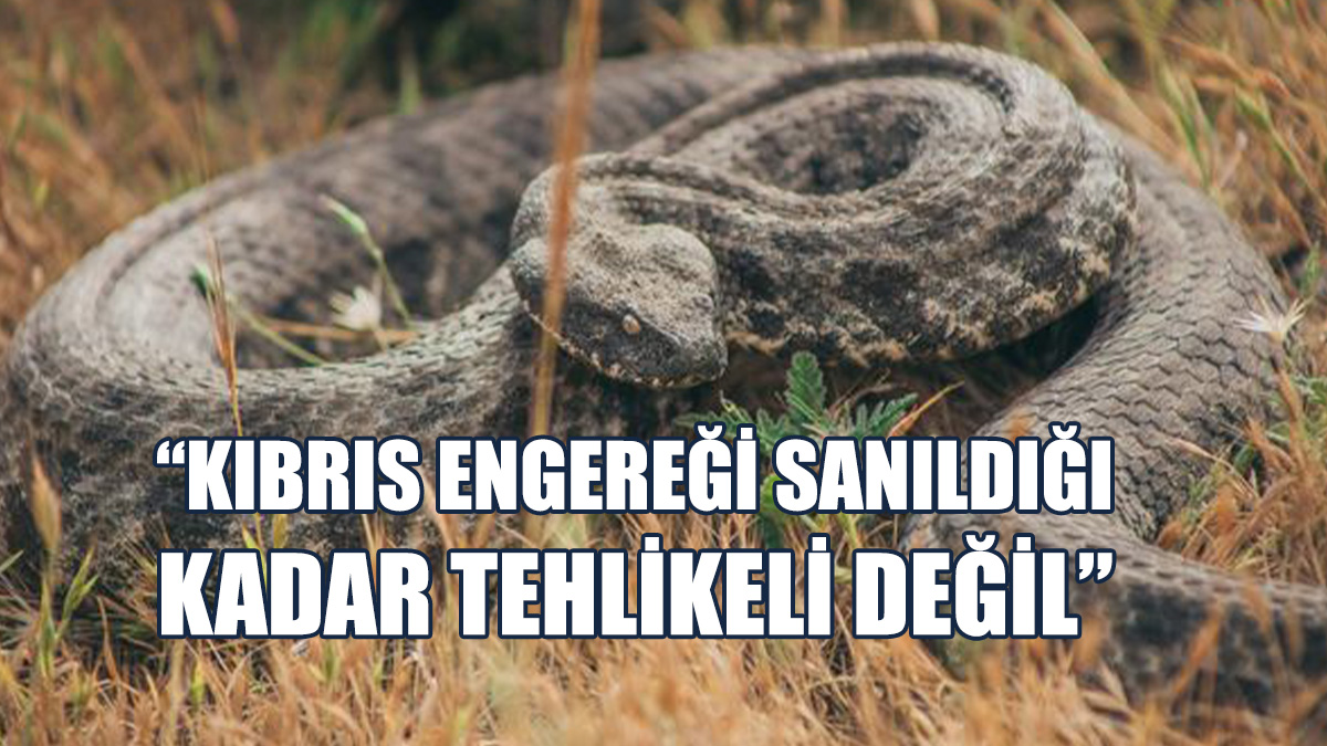 Taşkent Doğa Parkı’ndan Uyarı...