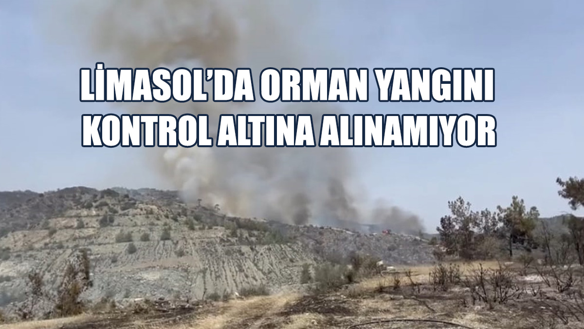 Yangın, Bölgede Etkili Olan Güçlü Rüzgar Nedeniyle Kontrol Altına Alınamıyor