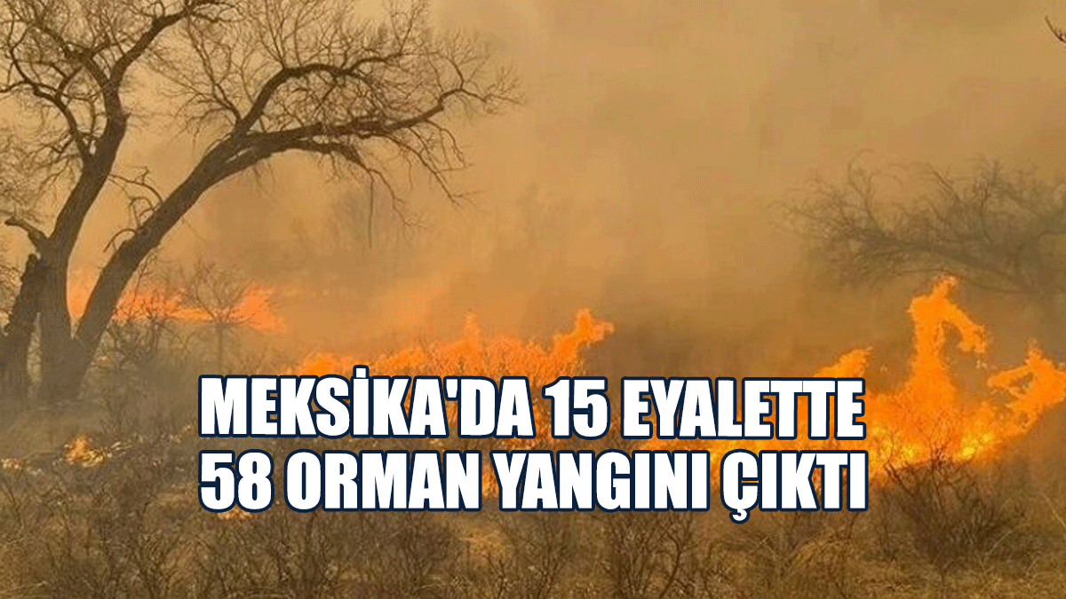 Meksika'da 15 Eyalette 58 Orman Yangını Çıktı