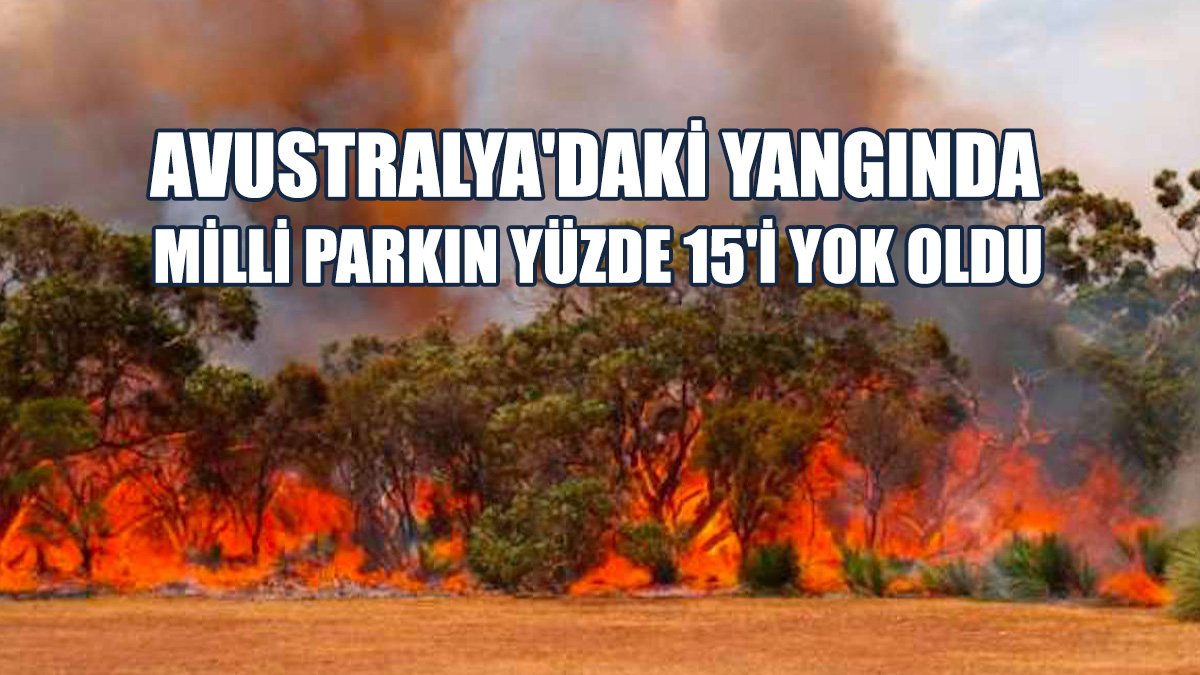 Mount Remarkable Milli Parkı'nda Çıkan Yangın 5 Gündür Devam Ediyor