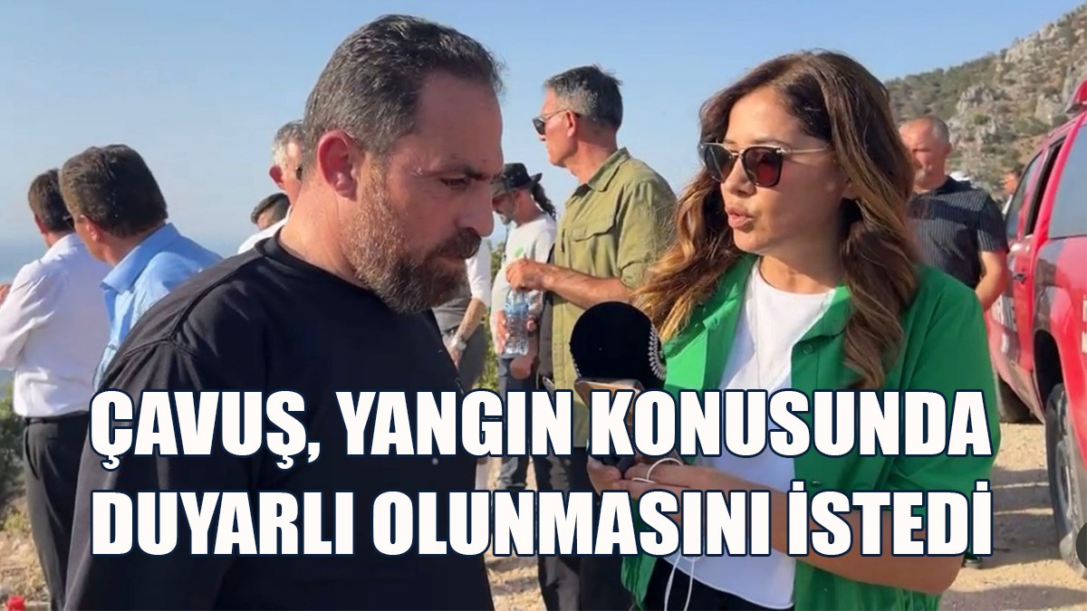 Çavuş: Yangın Müdahale Yollarının Yüzde 90’ını Açtık