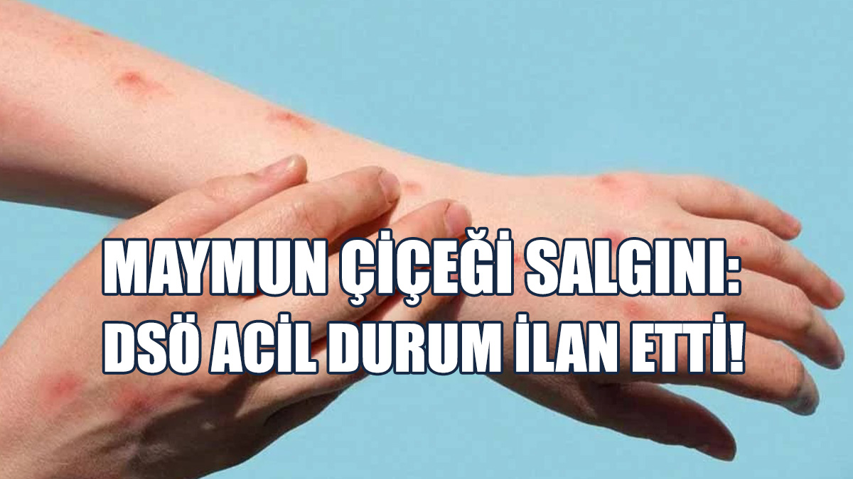 “524 Ölüm Yaşandı”