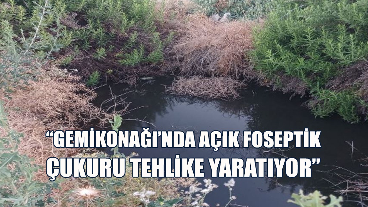 Dayıoğlu: Vatandaşlar Pencerelerini Açamıyor