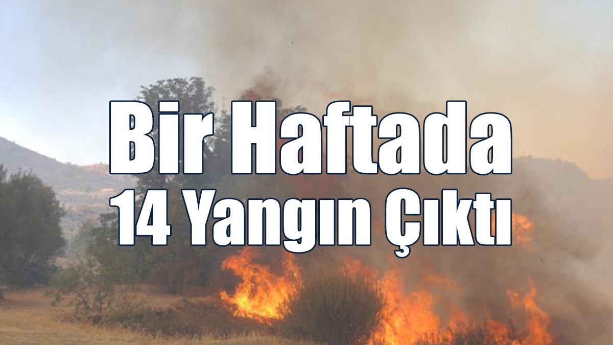 Bir Haftada 14 Yangın Çıktı