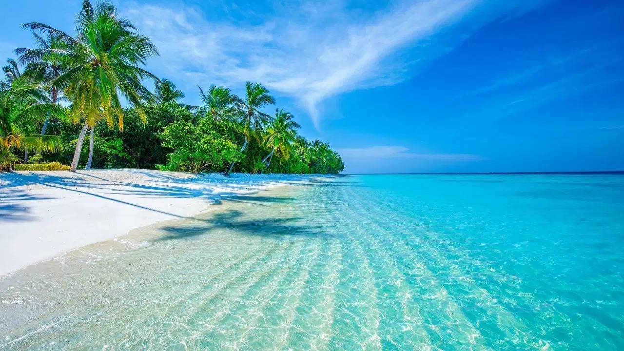 MALDİVLER.jpeg