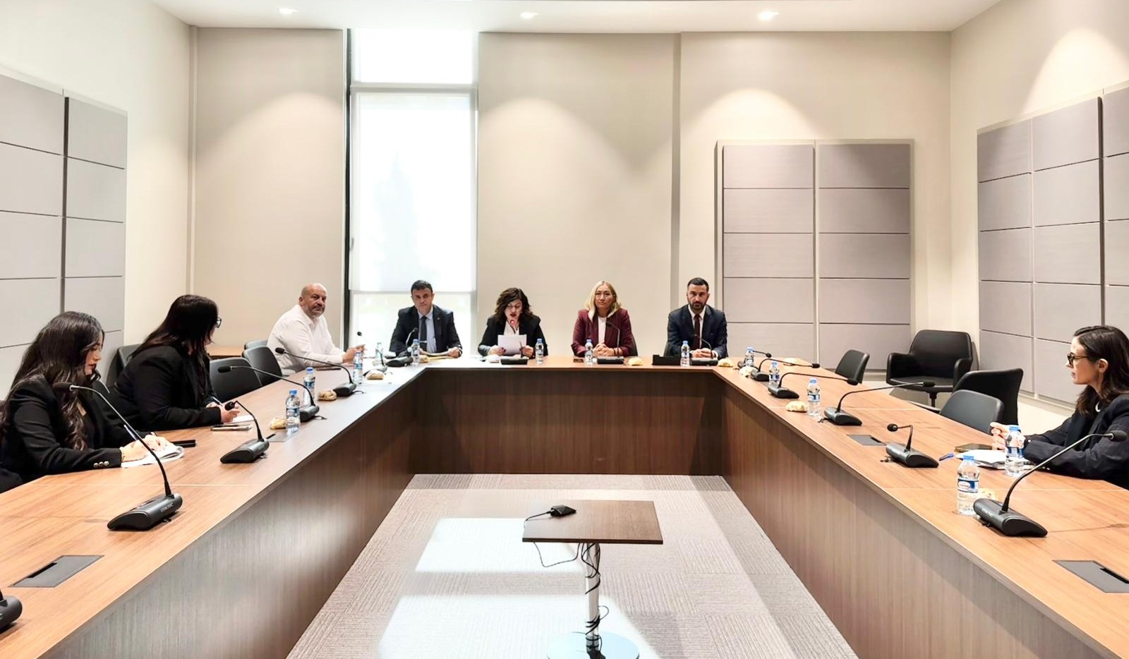 Hukuk, Siyasi İşler, Dışilişkiler ve Savunma Komitesi toplandı