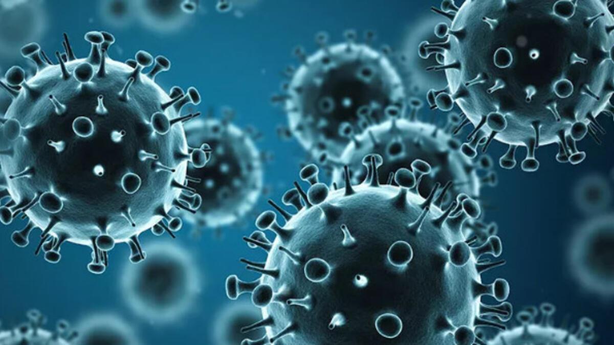 Malezya'da yaklaşık 6 bin öğrenci influenza virüsü kaptı