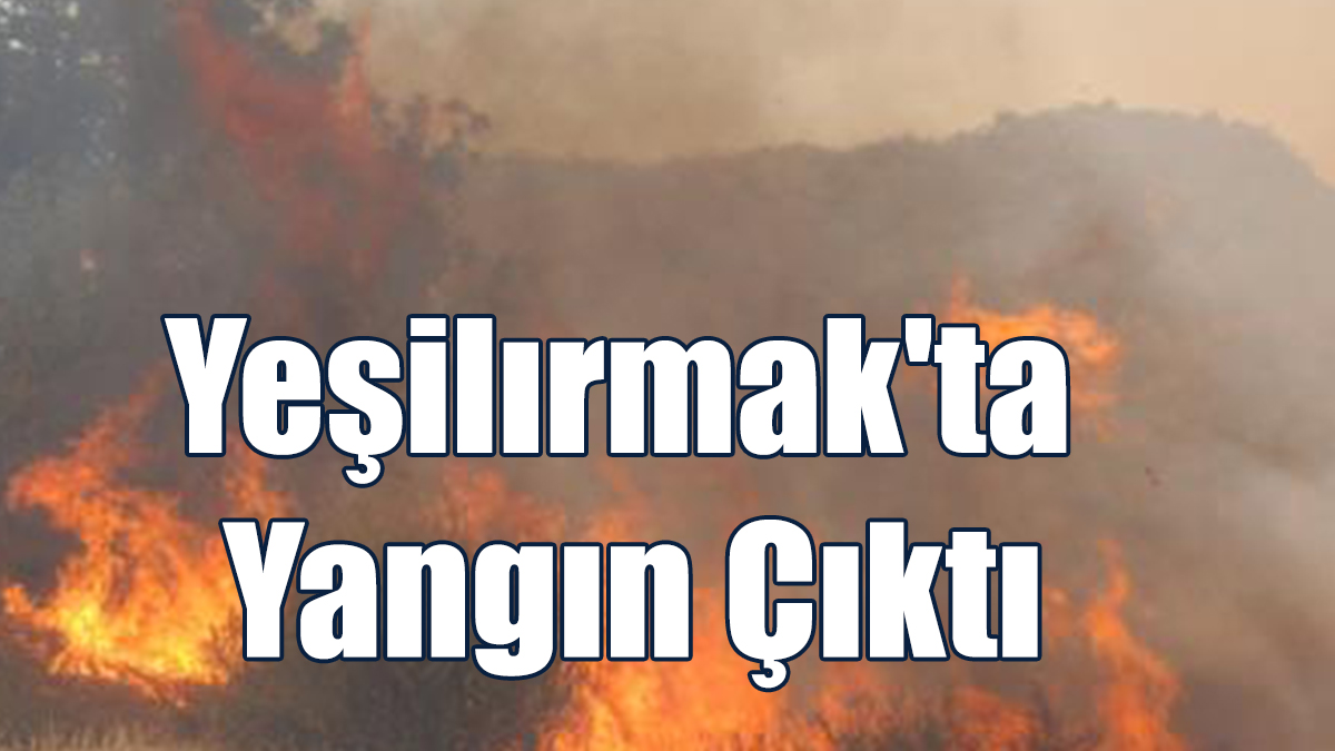 Yeşilırmak'ta Yangın Çıktı