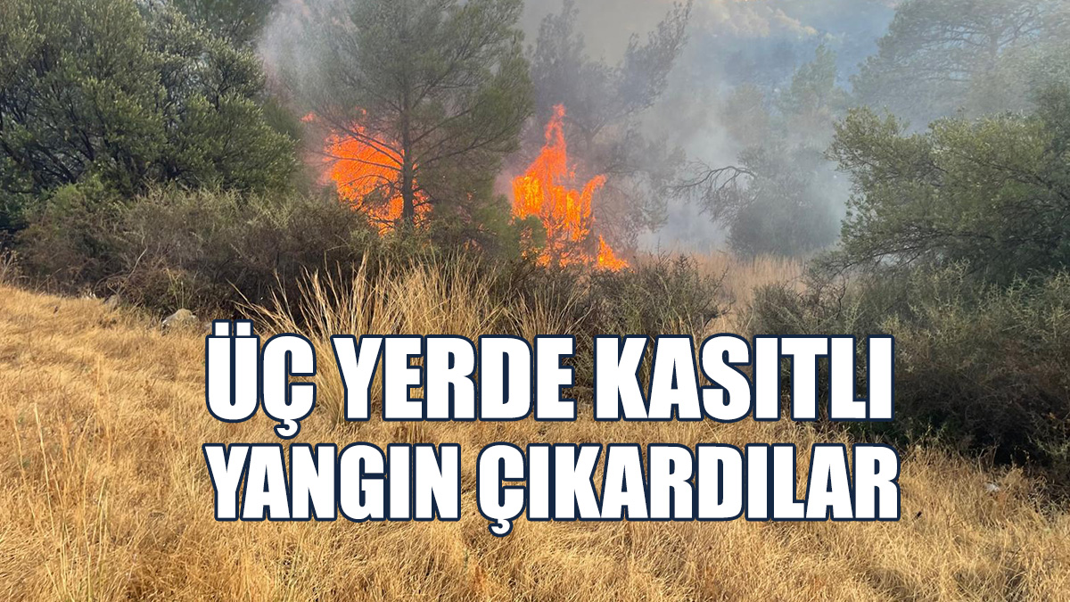 Orman Dairesi Mevsimlik İşçileri Tutuklandı