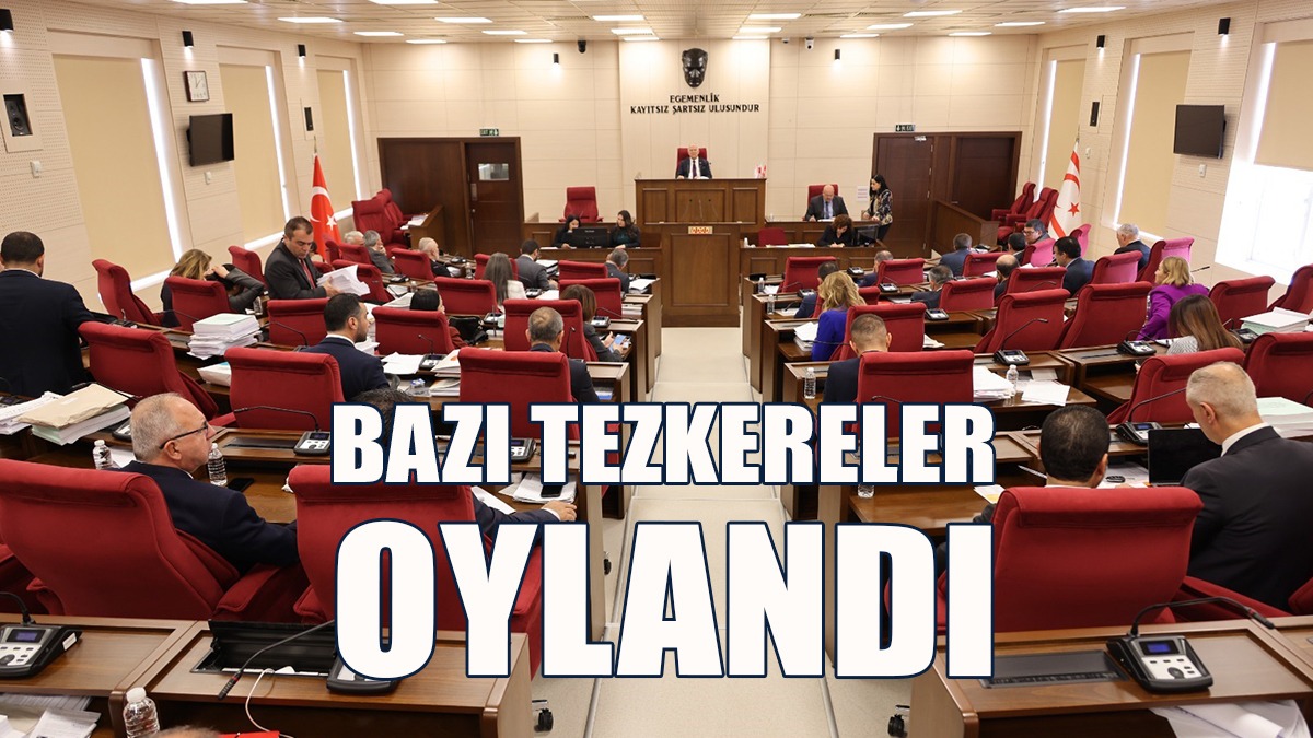 Bazı Tezkereler Oylandı