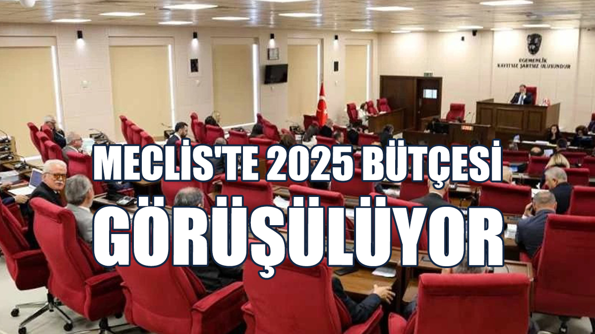 Meclis'te 2025 Bütçesi Görüşülüyor