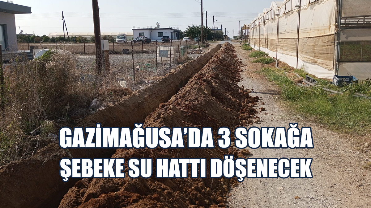 Projenin 10 Günde Tamamlanması Planlanıyor