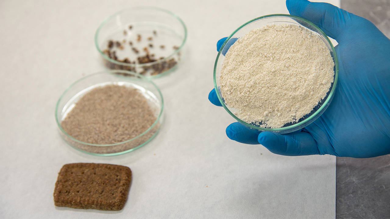 Kanser ve Alzheimer ile savaşan bisküvi üretildi!