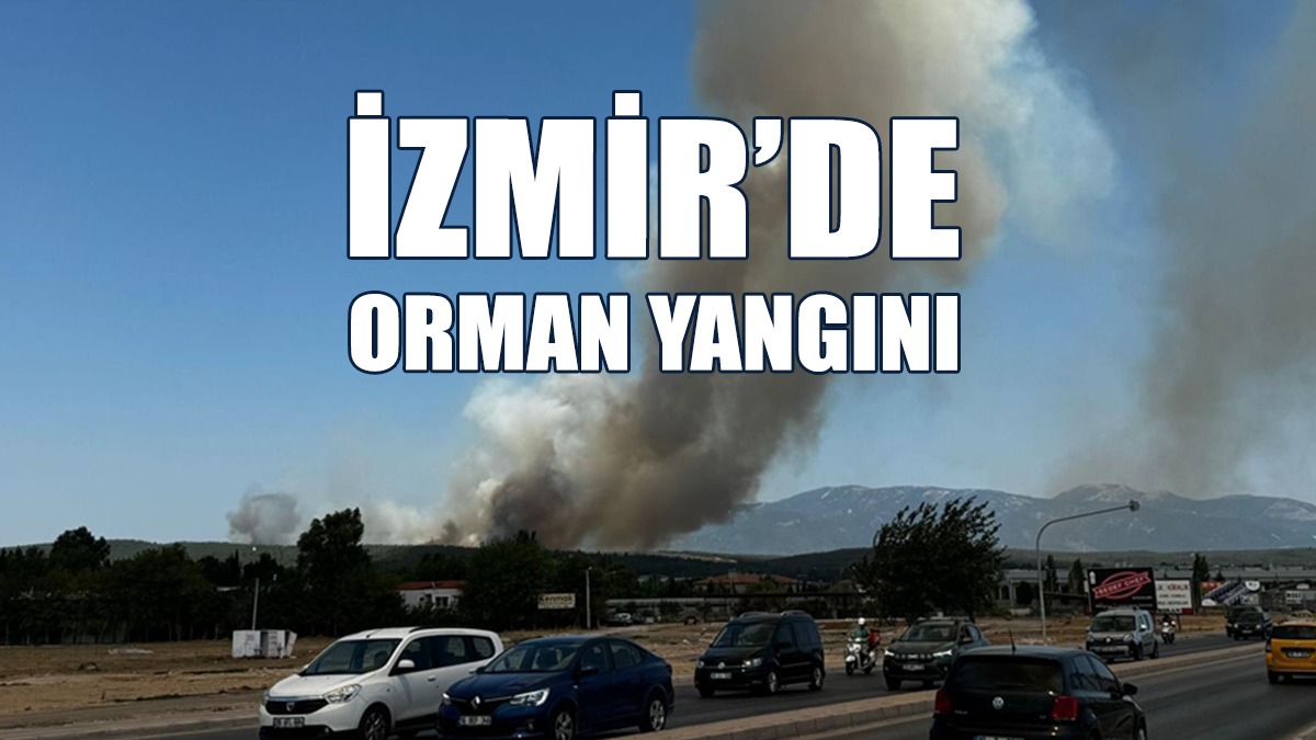 Adnan Menderes'te Seferlerde Aksama Yaşanıyor