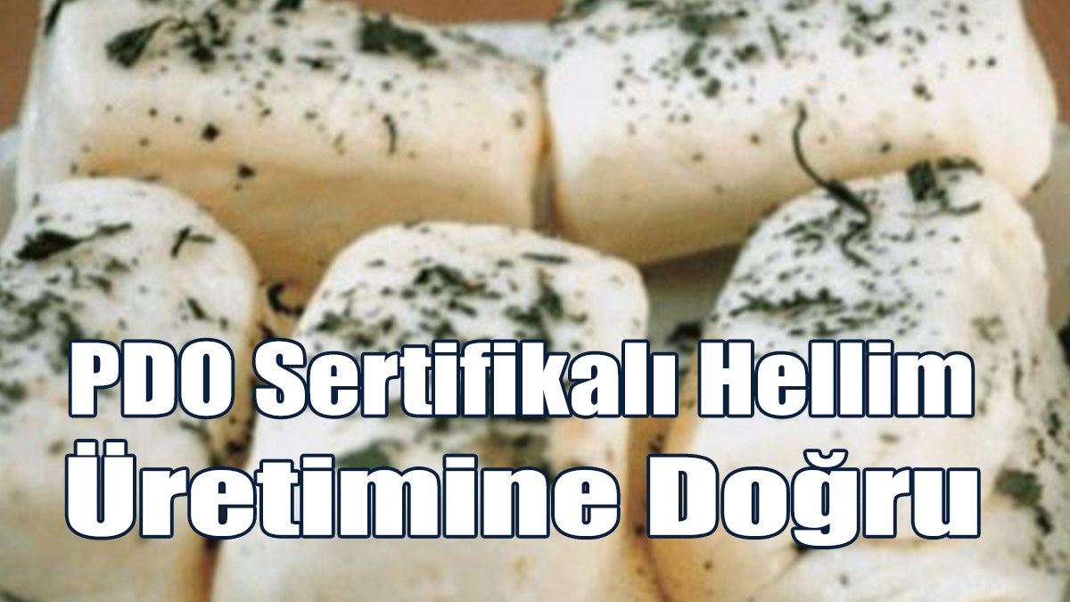 PDO Sertifikalı Hellim Üretimine Doğru