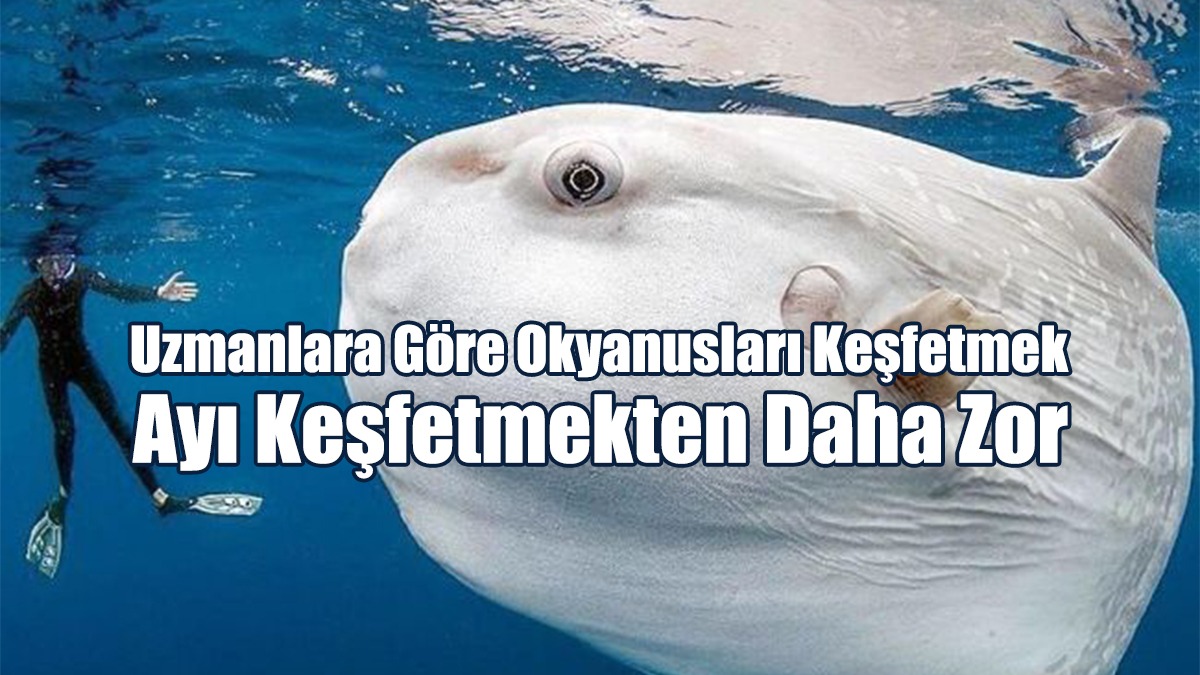 Uzmanlara Göre Okyanusları Keşfetmek Ayı Keşfetmekten Daha Zor