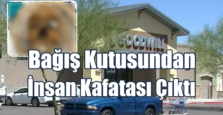 Bağış Kutusundan İnsan Kafatası Çıktı