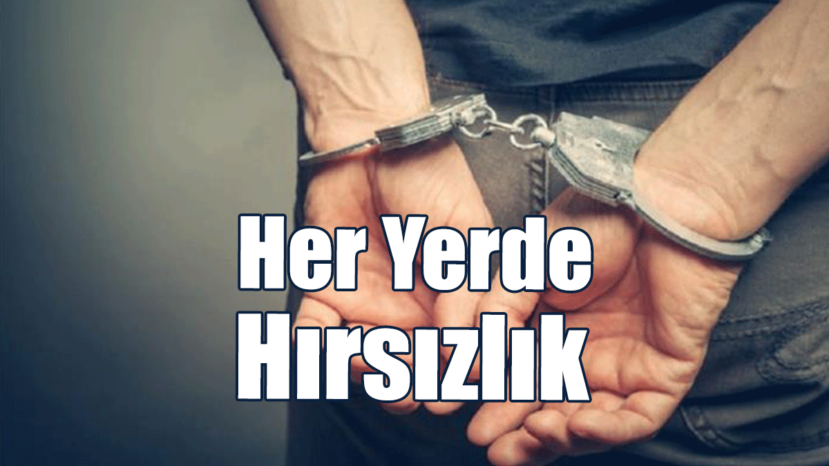 Ne Buldularsa Çaldılar