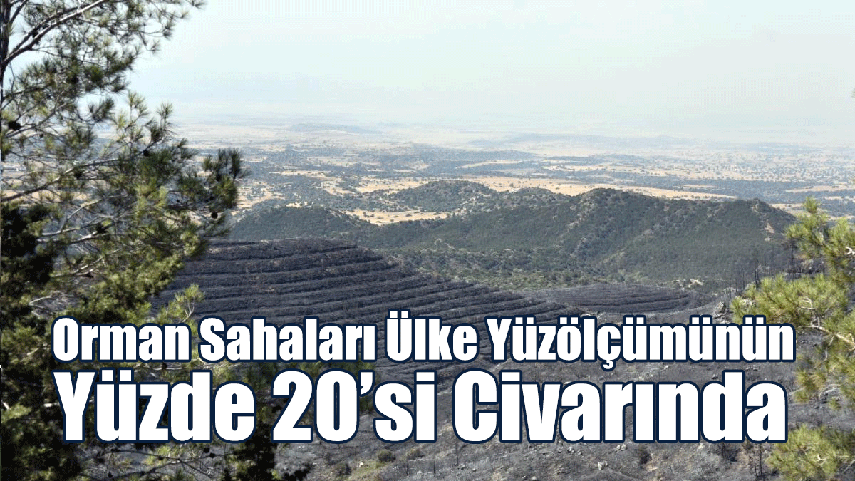 Son 3 Yıllık Dönemde 4 Bin Hektardan Fazla Alan Yandı