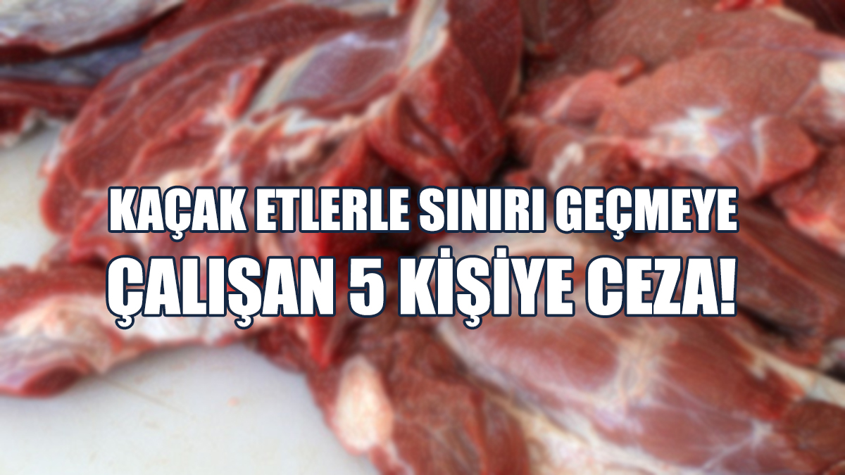 Geçiş Kapısında Kaçak Et Yakalandı