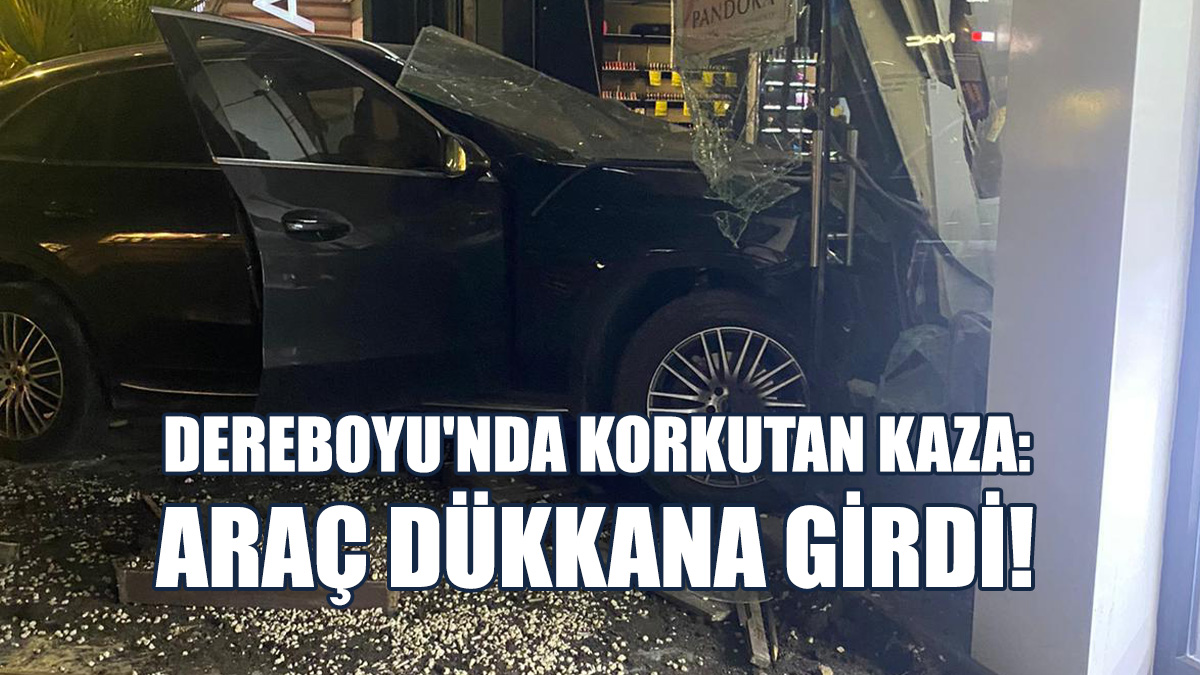 Direksiyon Hakimiyetini Kaybeden Sürücü Ortalığı Dağıttı