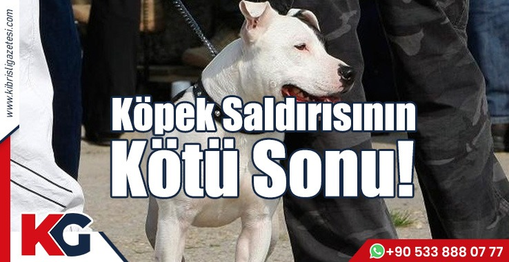 Köpek Saldırısının Kötü Sonu!