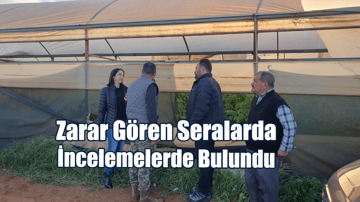 Tarım Bakanı Çavuş, Zarar Gören Seralarda İncelemelerde Bulundu