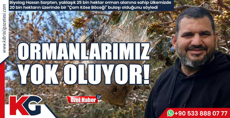 Ormanlarımız Yok Oluyor!