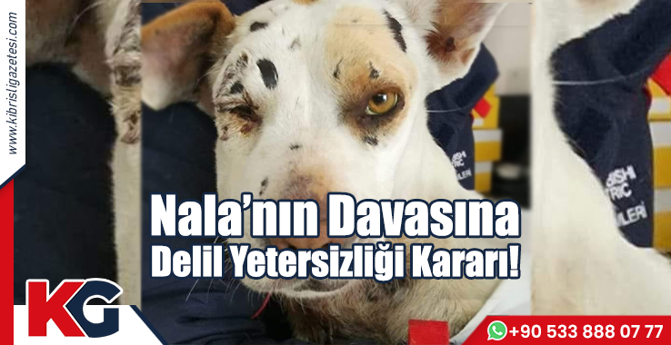 Nala’nın Davasına Delil Yetersizliği Kararı!