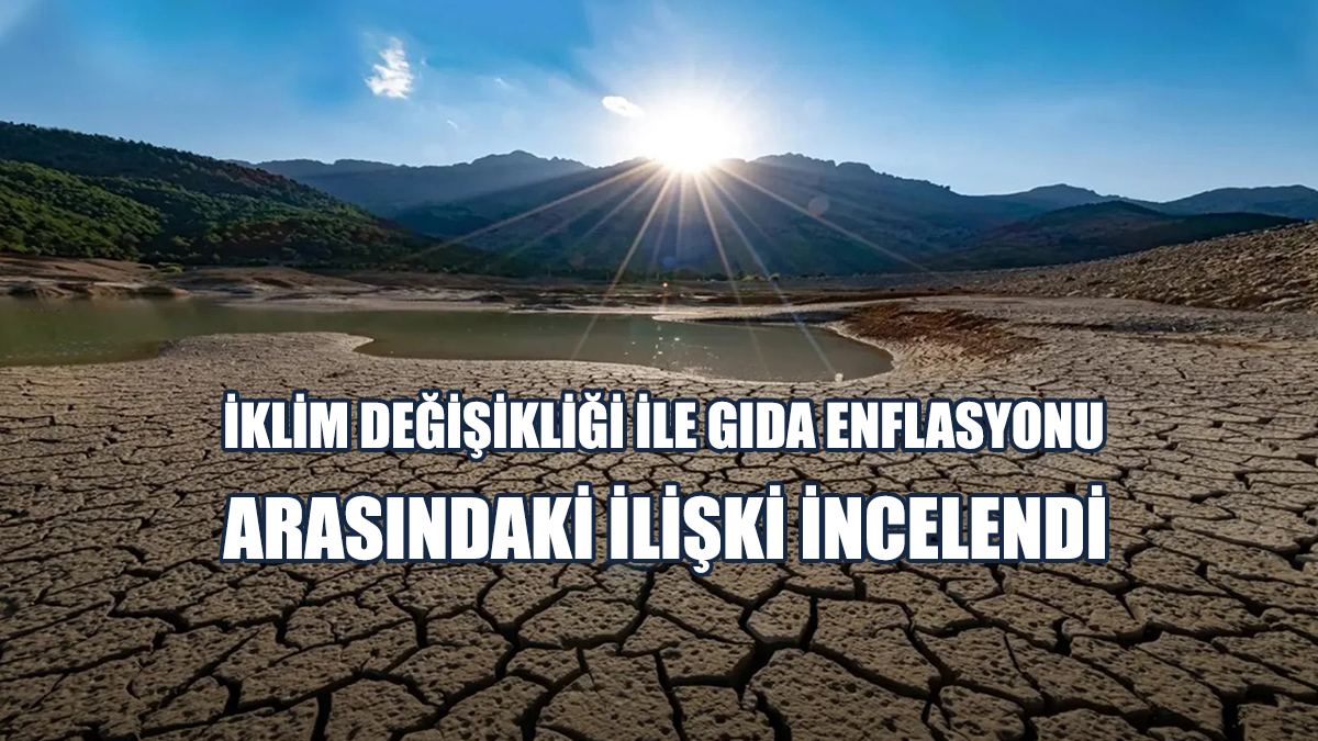 İklim Değişikliği İle Gıda Enflasyonu Arasındaki İlişki İncelendi