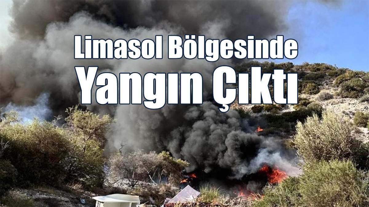 Limasol Bölgesinde Yangın Çıktı