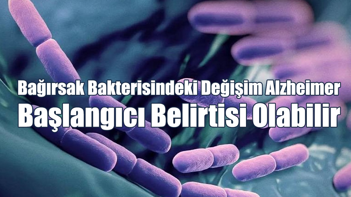Bağırsak Bakterisindeki Değişim Alzheimer Başlangıcı Belirtisi Olabilir