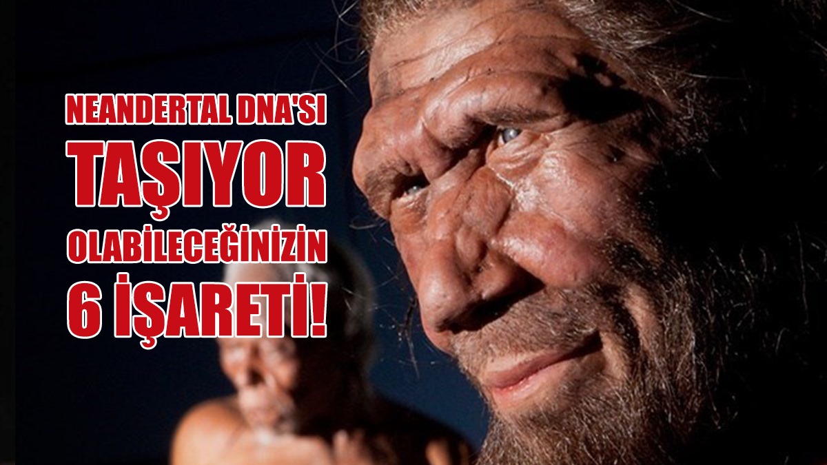 Neandertal DNA'sı Taşıyor Olabileceğinizin 6 İşareti!