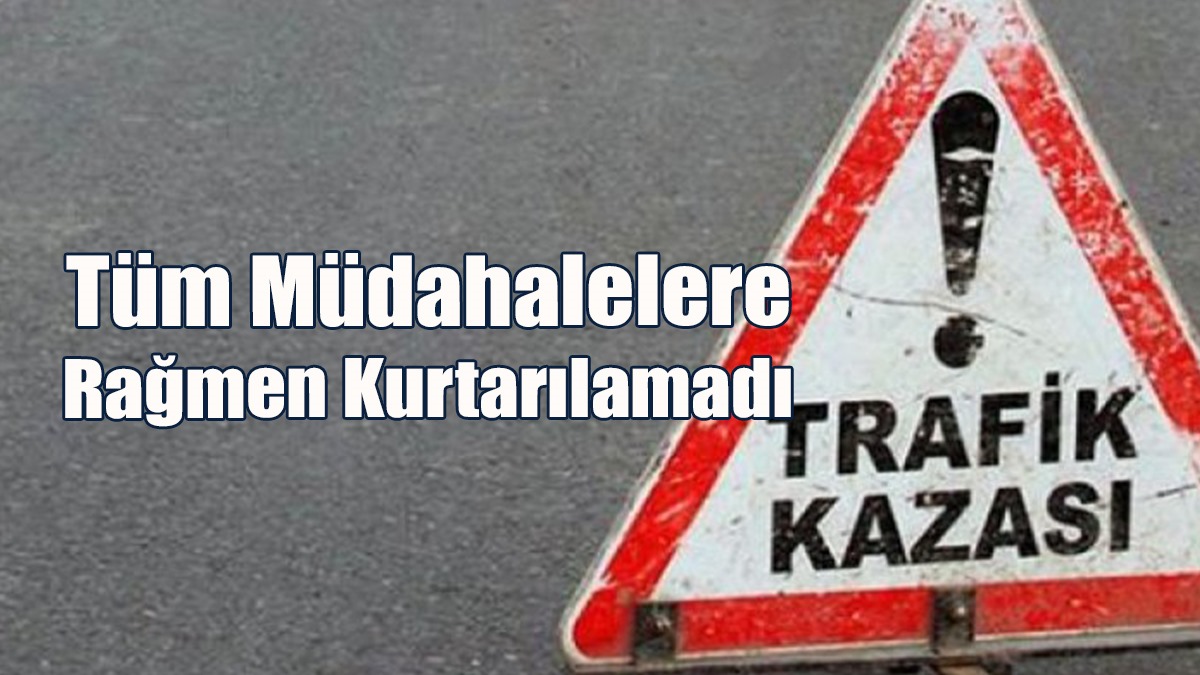 Tüm Müdahalelere Rağmen Kurtarılamadı