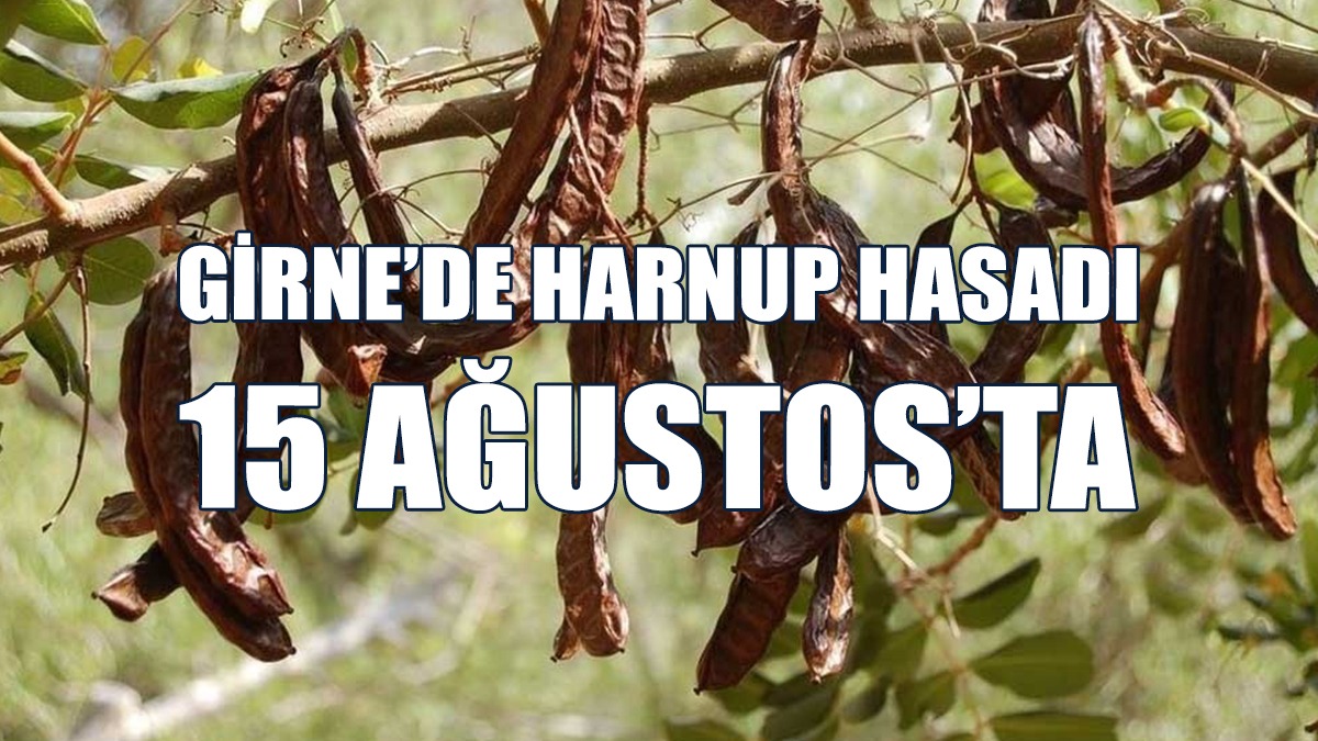 Girne’de Harnup Hasadı Başlıyor