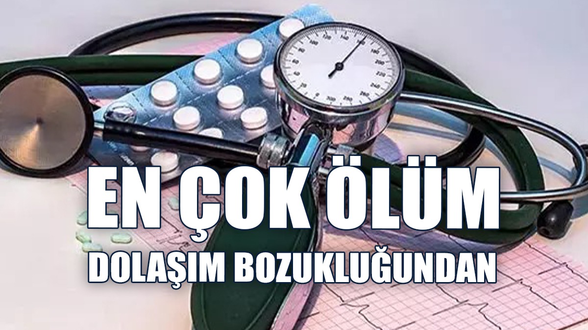 Güney'de En Çok Ölüm Dolaşım Bozukluğundan Kaynaklandı