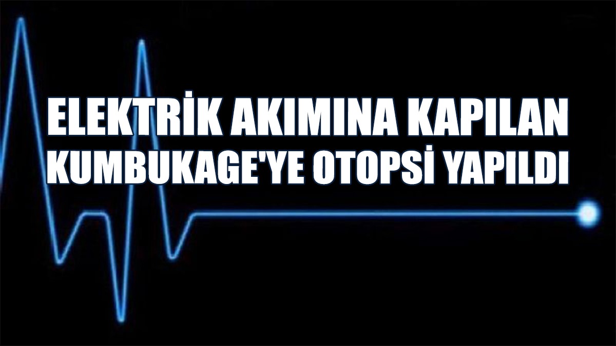 Kumbukage'nin Ölüm Sebebi Belli Oldu