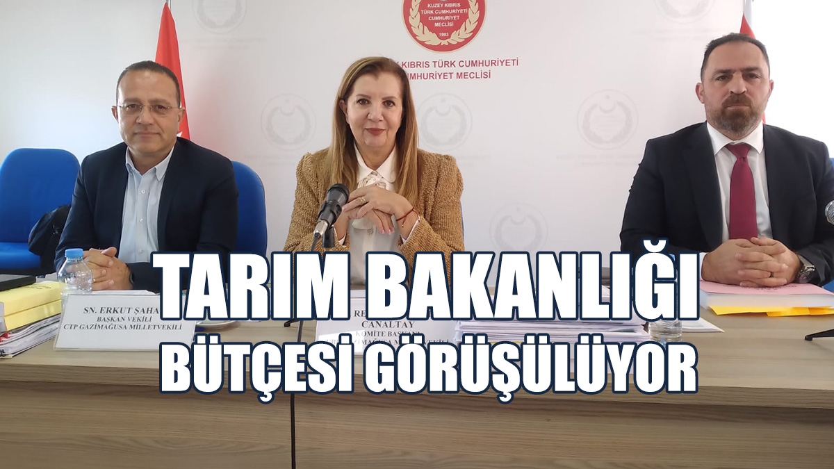 Kürşat: Bu Rakamlar Hiçbir Yaraya Merhem Olmaz