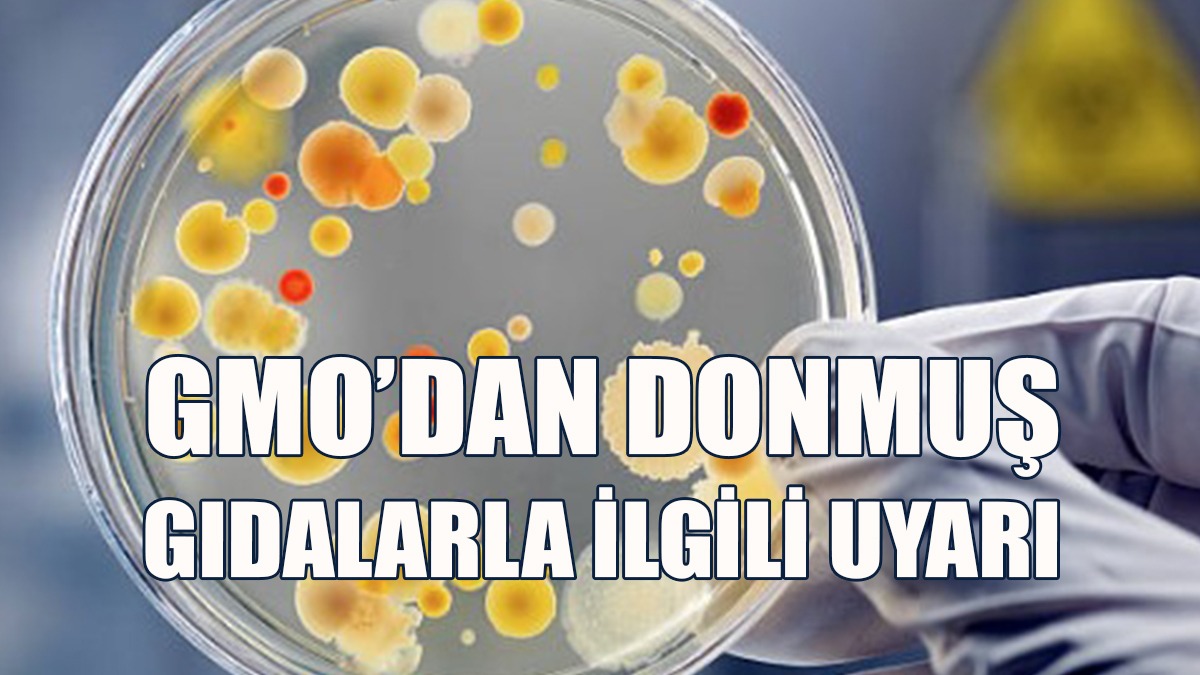 GMO’dan Donmuş Gıdalarla İlgili Uyarı