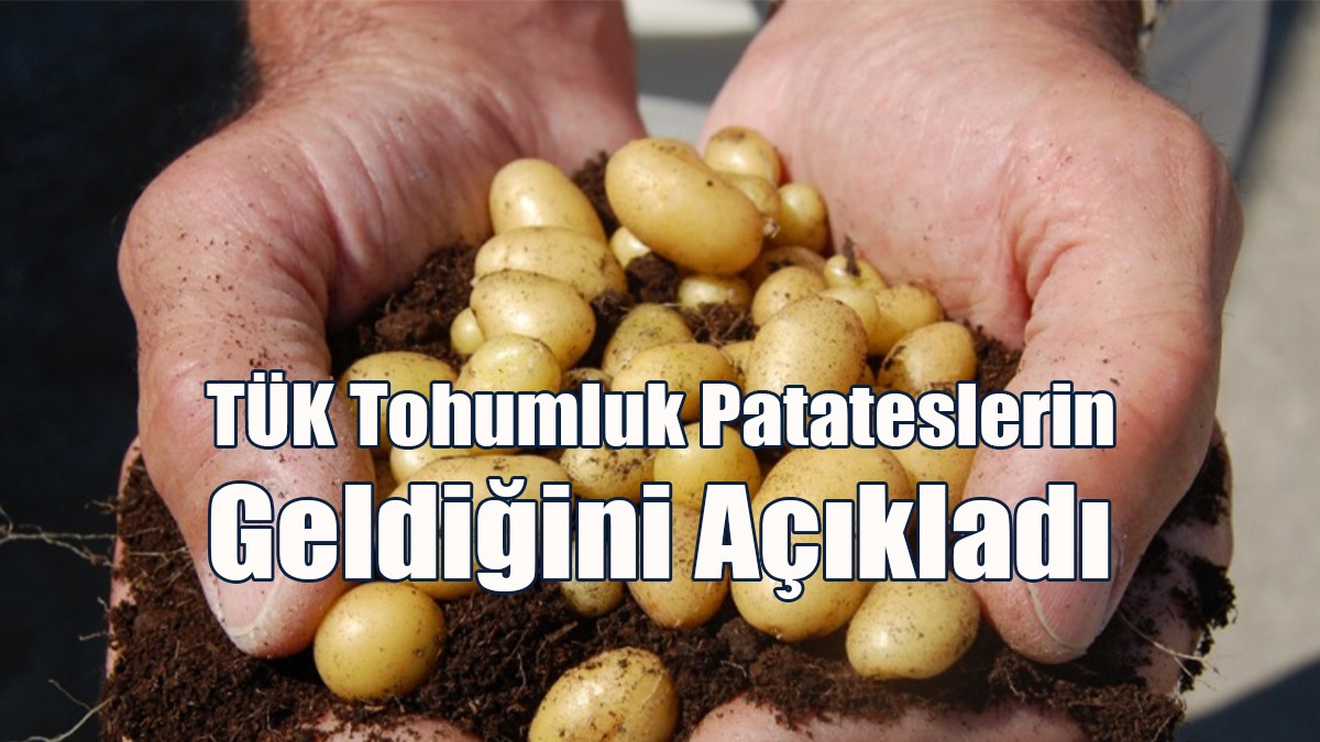 TÜK Tohumluk Patateslerin Geldiğini Açıkladı