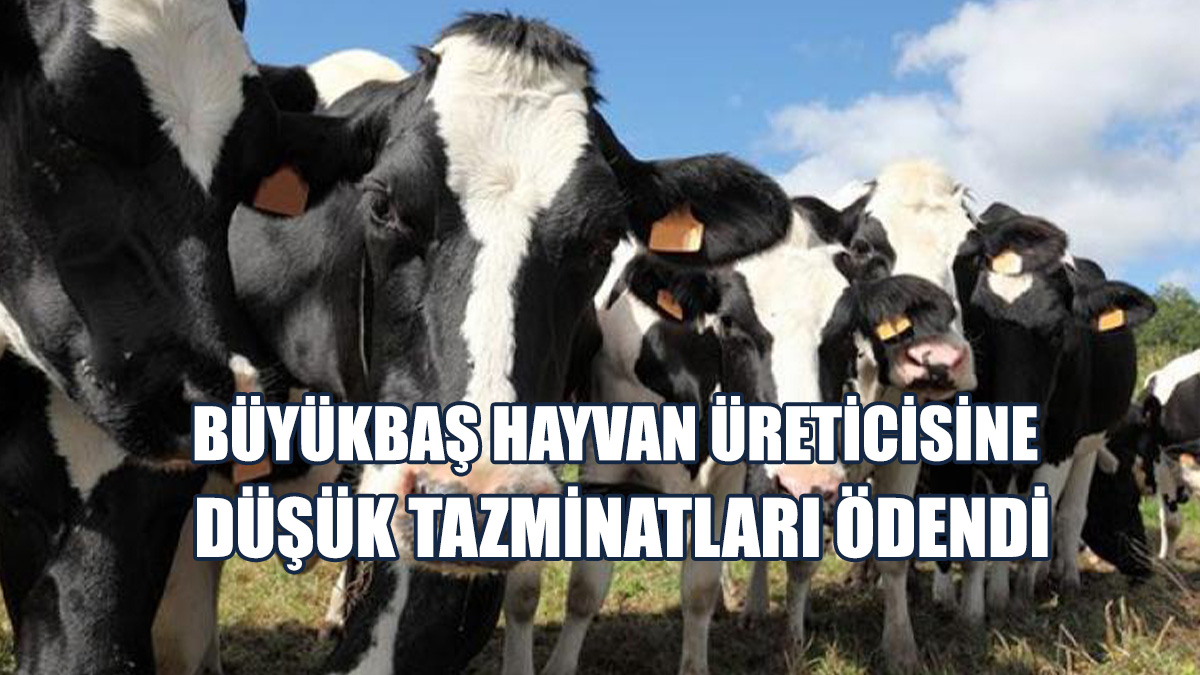 126 Üreticiye Tazminat Ödendi
