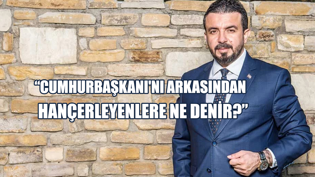 Zaroğlu: Cumhurbaşkanı'nı Arkasından Hançerleyenlere Ne Denir?