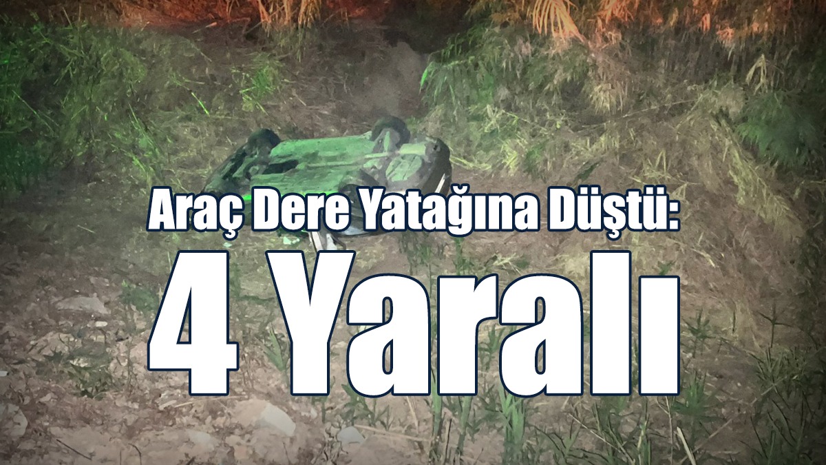 Takla Atıp Tavanı Üzerinde Durdu