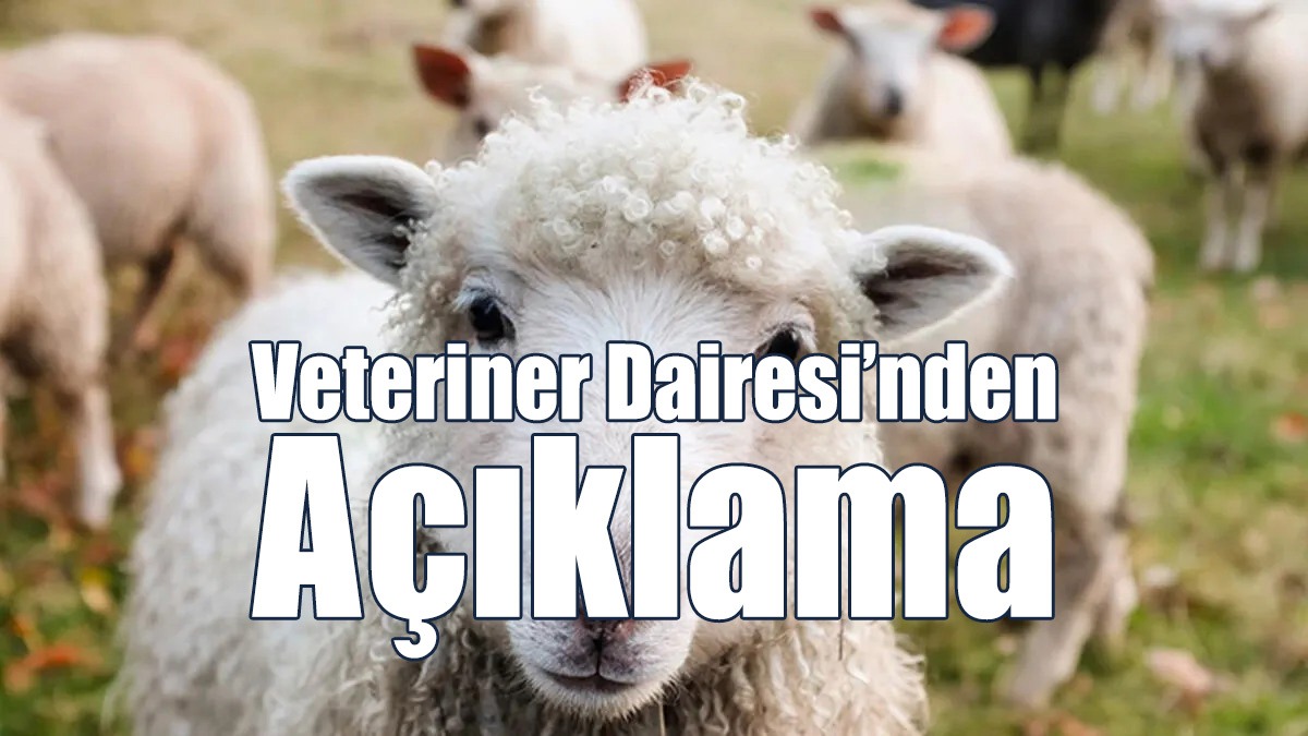 Veteriner Dairesi’nden Açıklama