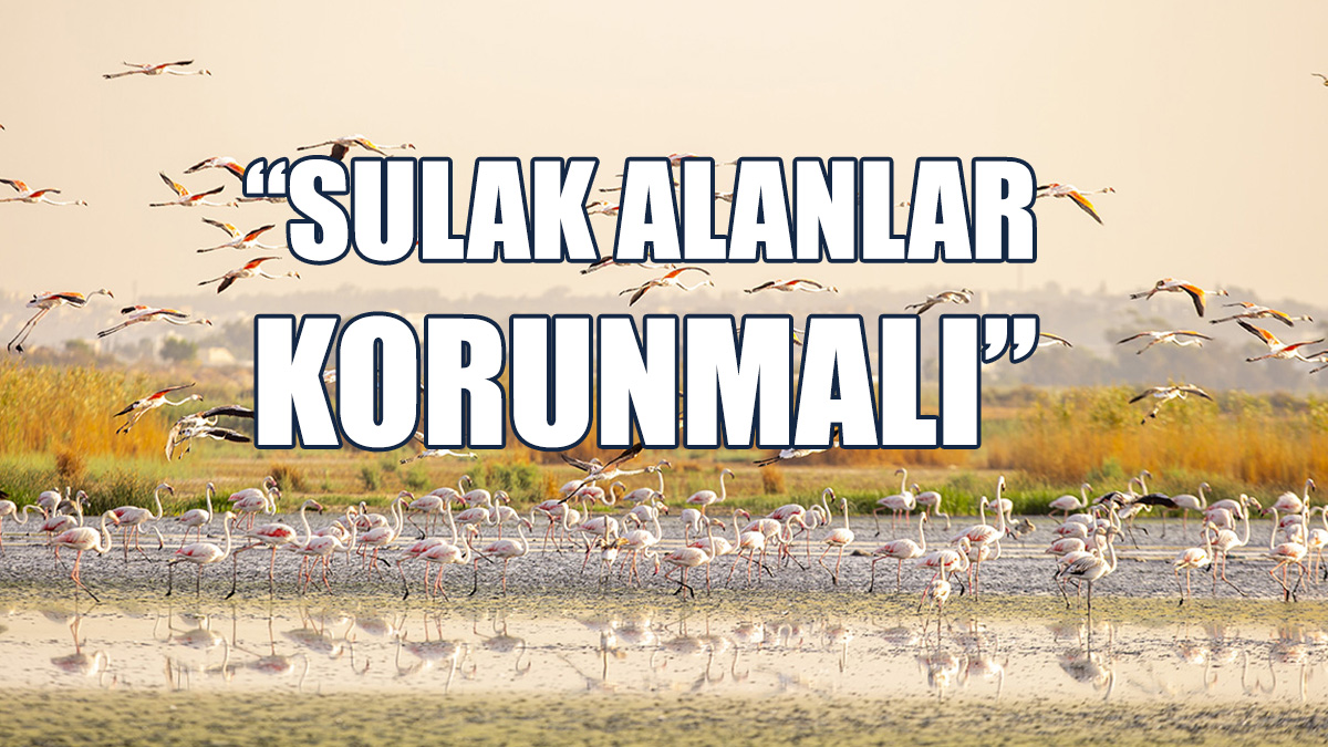 “Kuşların Yokluğunda Sağlıklı Bir Dünyadan Söz Etmek Mümkün Değil”